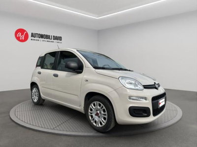 Fiat Panda 1.2 Easy (2)