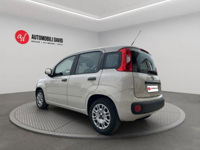 Fiat Panda 1.2 Easy (3)