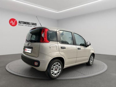 Fiat Panda 1.2 Easy (4)