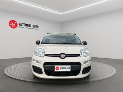 Fiat Panda 1.2 Easy (5)