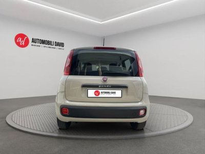 Fiat Panda 1.2 Easy (6)