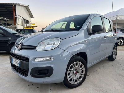 Fiat Panda 1.2 Lounge usata