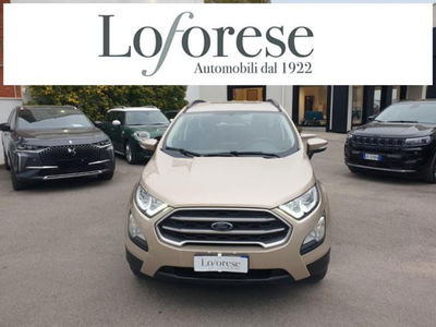 Ford EcoSport 1.5 Ecoblue 100 CV Start&Stop Business usata