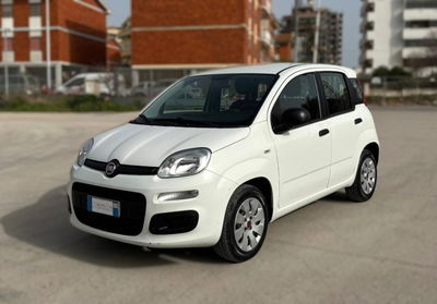 Fiat Panda 1.2 Pop usata