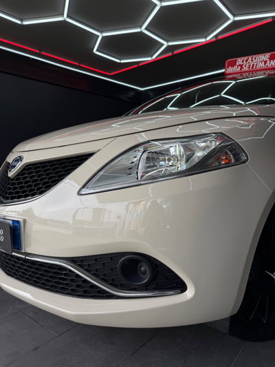 Lancia Ypsilon 1.3 MJT 16V 95 CV 5 porte S&S Platinum (17)