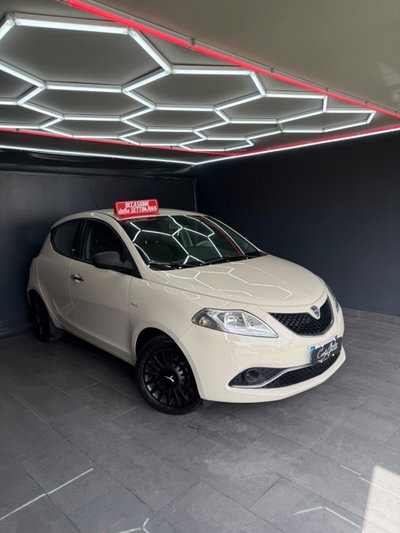 Lancia Ypsilon 1.3 MJT 16V 95 CV 5 porte S&S Platinum (2)