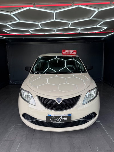 Lancia Ypsilon 1.3 MJT 16V 95 CV 5 porte S&S Platinum (3)