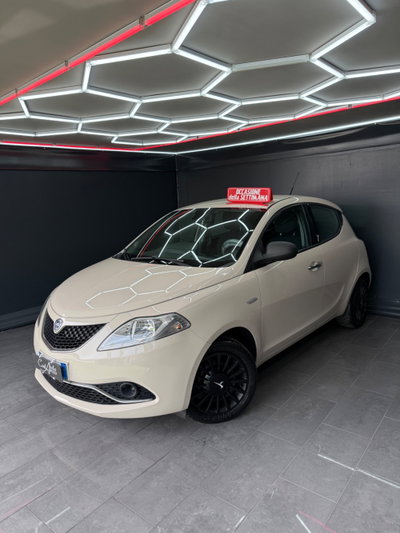 Lancia Ypsilon 1.3 MJT 16V 95 CV 5 porte S&S Platinum (4)