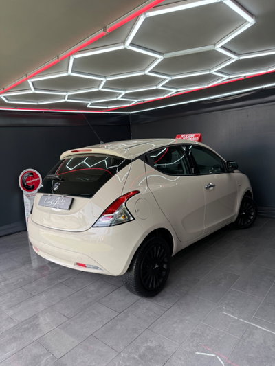 Lancia Ypsilon 1.3 MJT 16V 95 CV 5 porte S&S Platinum (7)