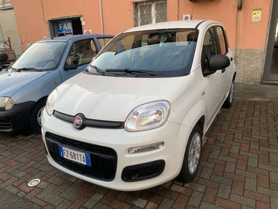 Fiat Panda 1.2 Easy usata