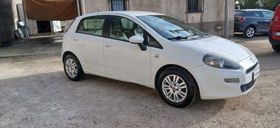Fiat Punto 1.3 MJT II 75 CV 5 porte Lounge usata