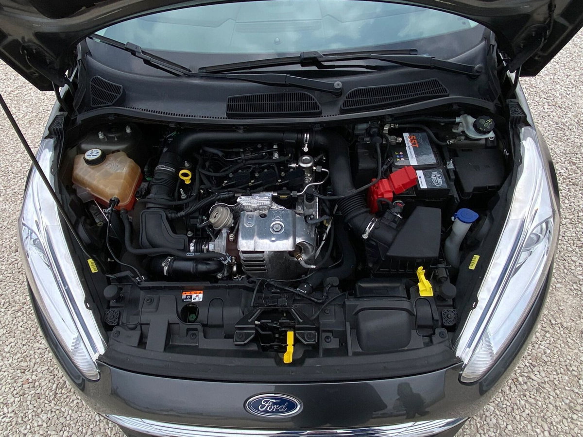 Ford Fiesta 1.0 EcoBoost 100CV 5 porte Titanium (10)