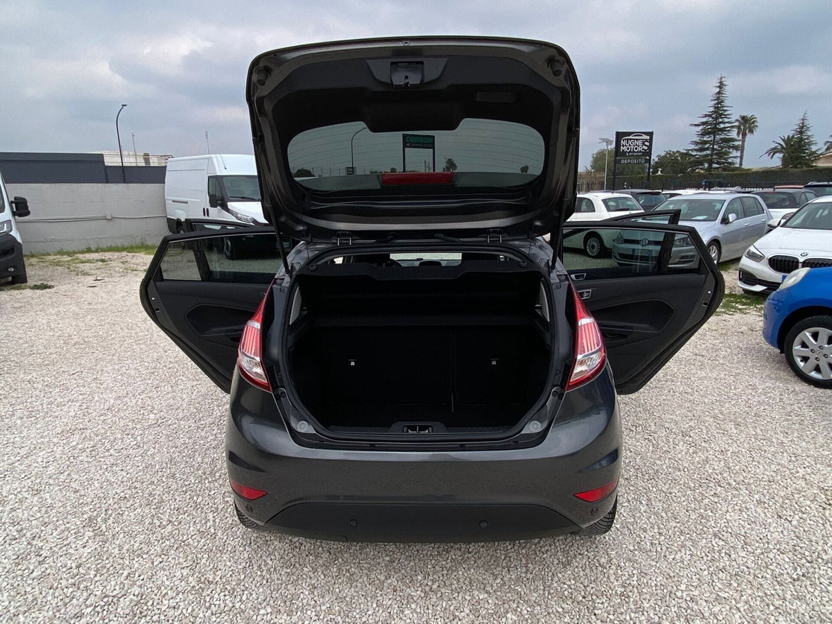 Ford Fiesta 1.0 EcoBoost 100CV 5 porte Titanium (14)