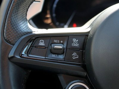 Alfa Romeo Stelvio Stelvio 2.2 Turbodiesel 160 CV AT8 RWD Sprint (20)