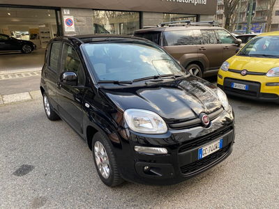 Fiat Panda 1.2 Lounge usata