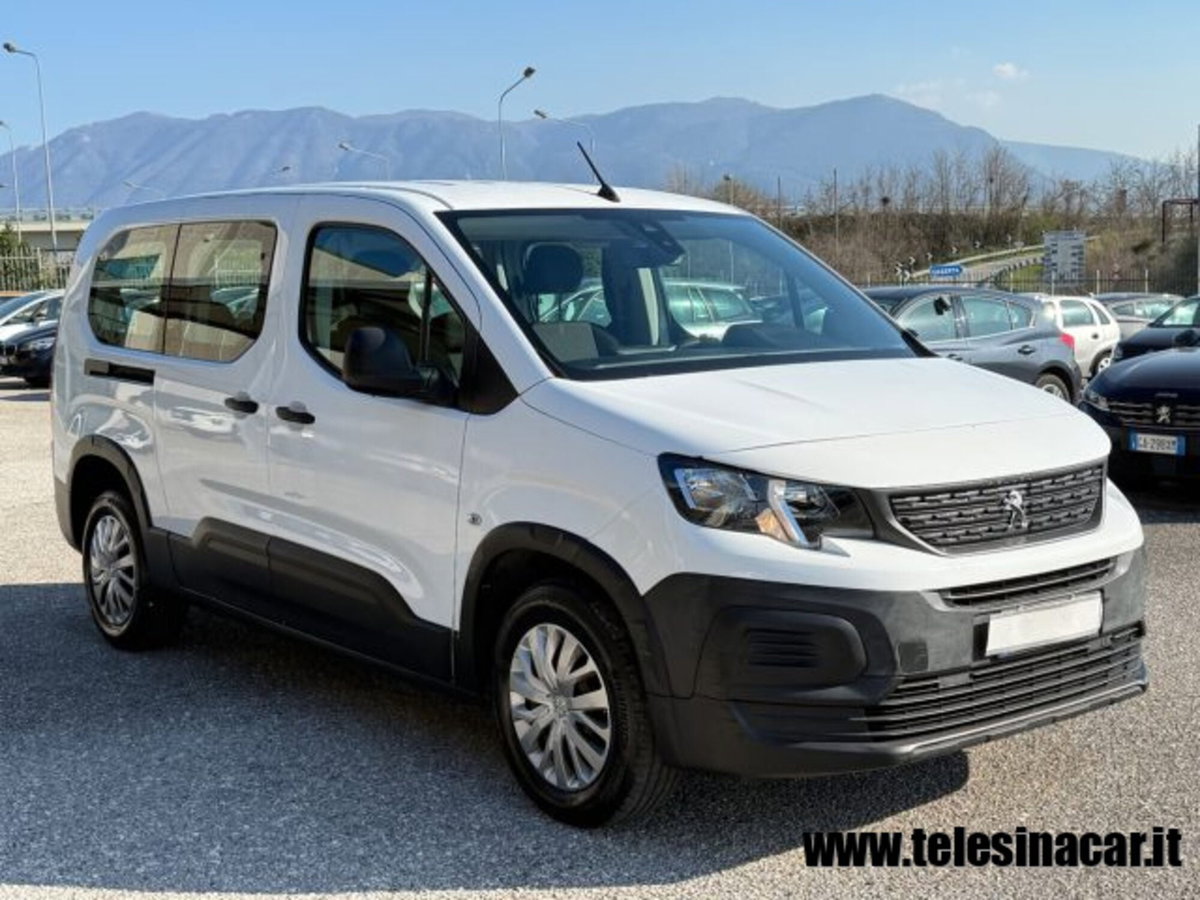 Peugeot Rifter BlueHDi 100 S&S Active Pack Long 7 posti (4)