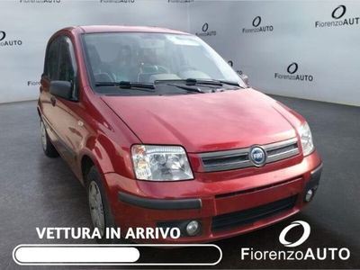 Fiat Panda 1.2 4x4 usata