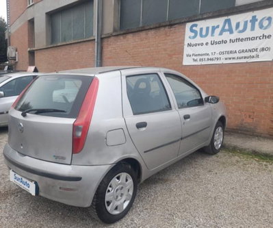 Fiat Punto 1.2 5 porte Active Natural Power (6)