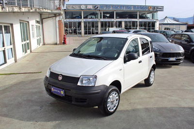 Fiat Panda 1.3 MJT 16V 4x4 usata