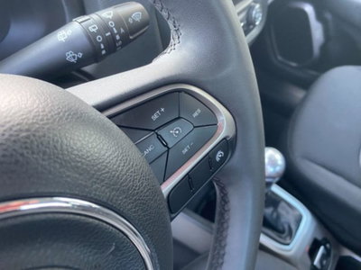 Jeep Renegade 1.6 Mjt 130 CV Longitude (12)