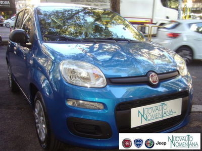 Fiat Panda 1.0 firefly hybrid s&s 70cv 5p.ti nuova