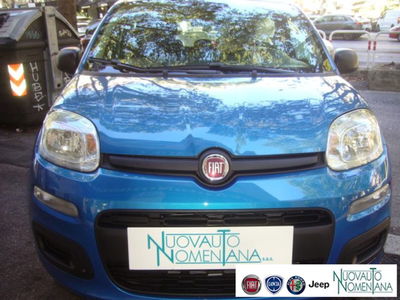 Fiat Panda 1.0 firefly hybrid s&s 70cv 5p.ti nuova