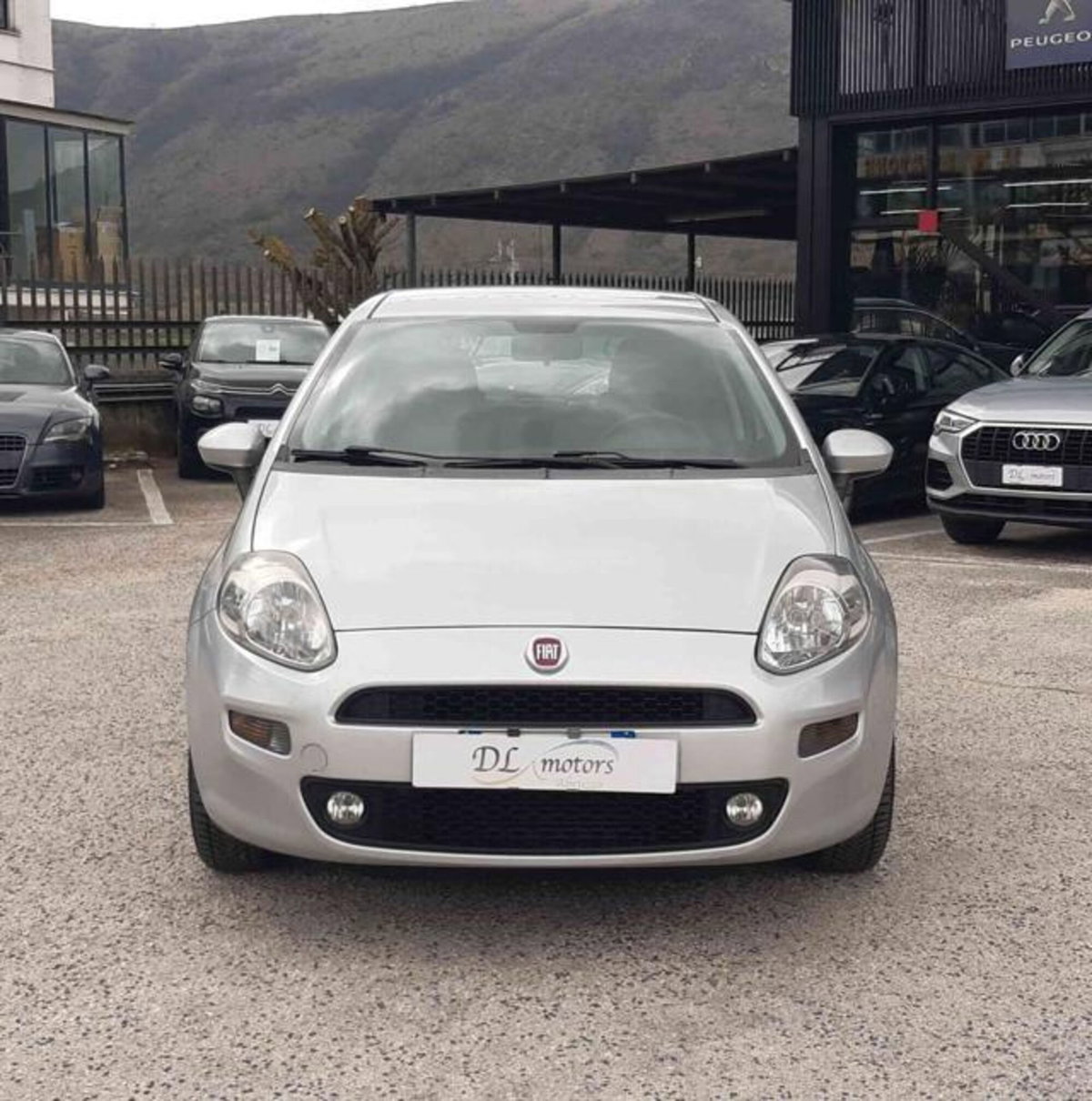 Fiat Punto 1.3 MJT II 75 CV 5 porte Lounge (2)