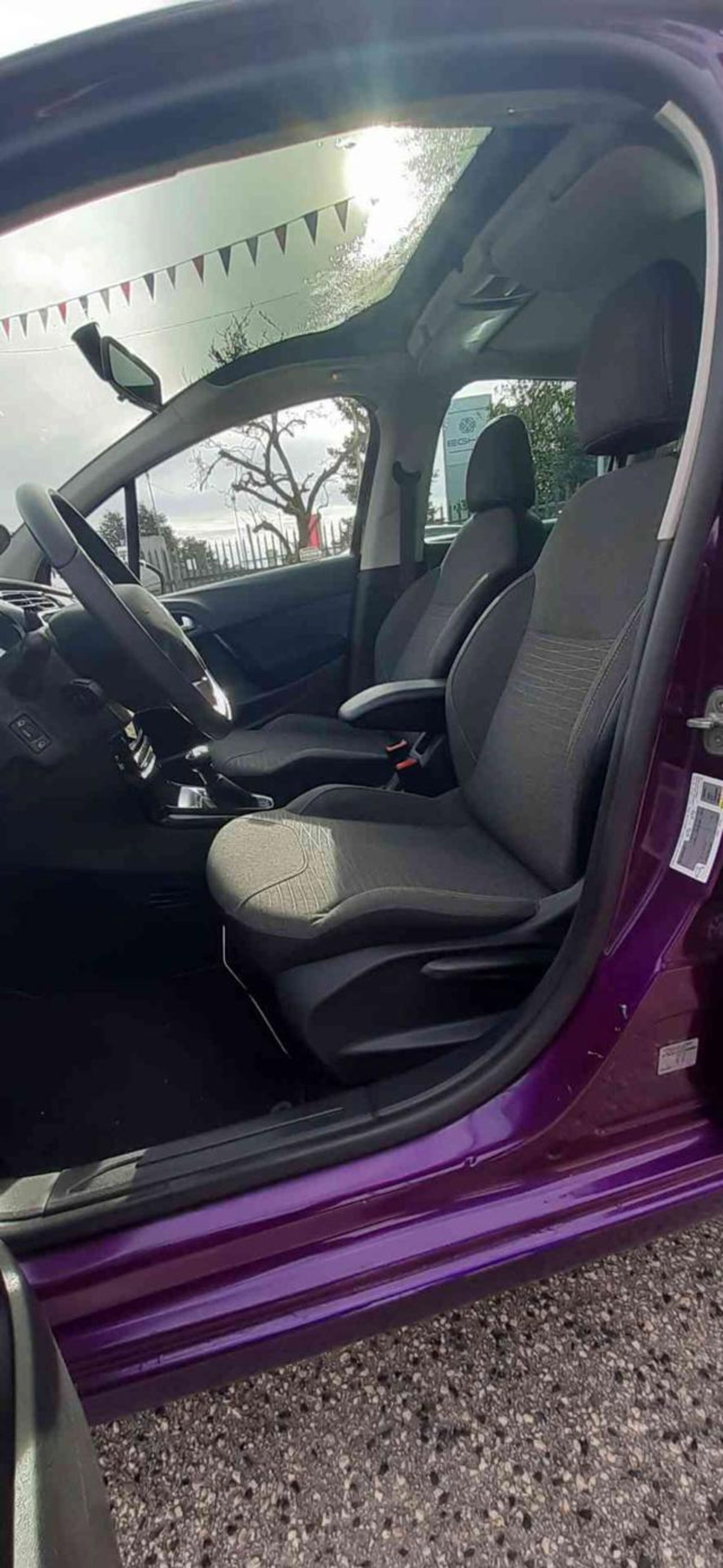 Citroen C3 BlueHDi 75 Monna Lisa (15)