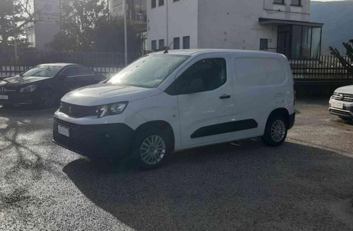 Peugeot Partner Furgone BlueHDi 100 PL Furgone Premium (13)