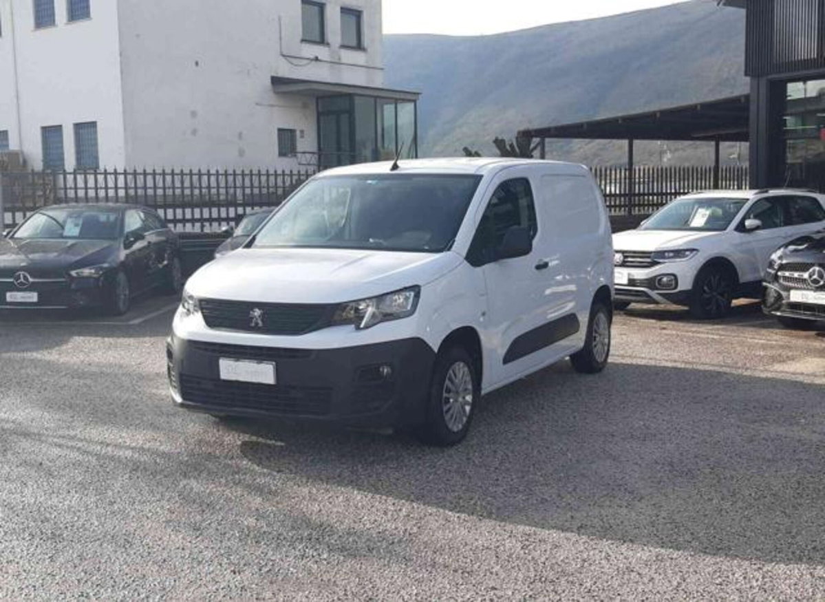 Peugeot Partner Furgone BlueHDi 100 PL Furgone Premium (3)