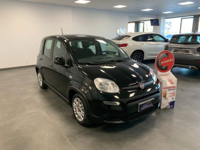 Fiat Panda 1.0 firefly hybrid s&s 70cv 5p.ti usata