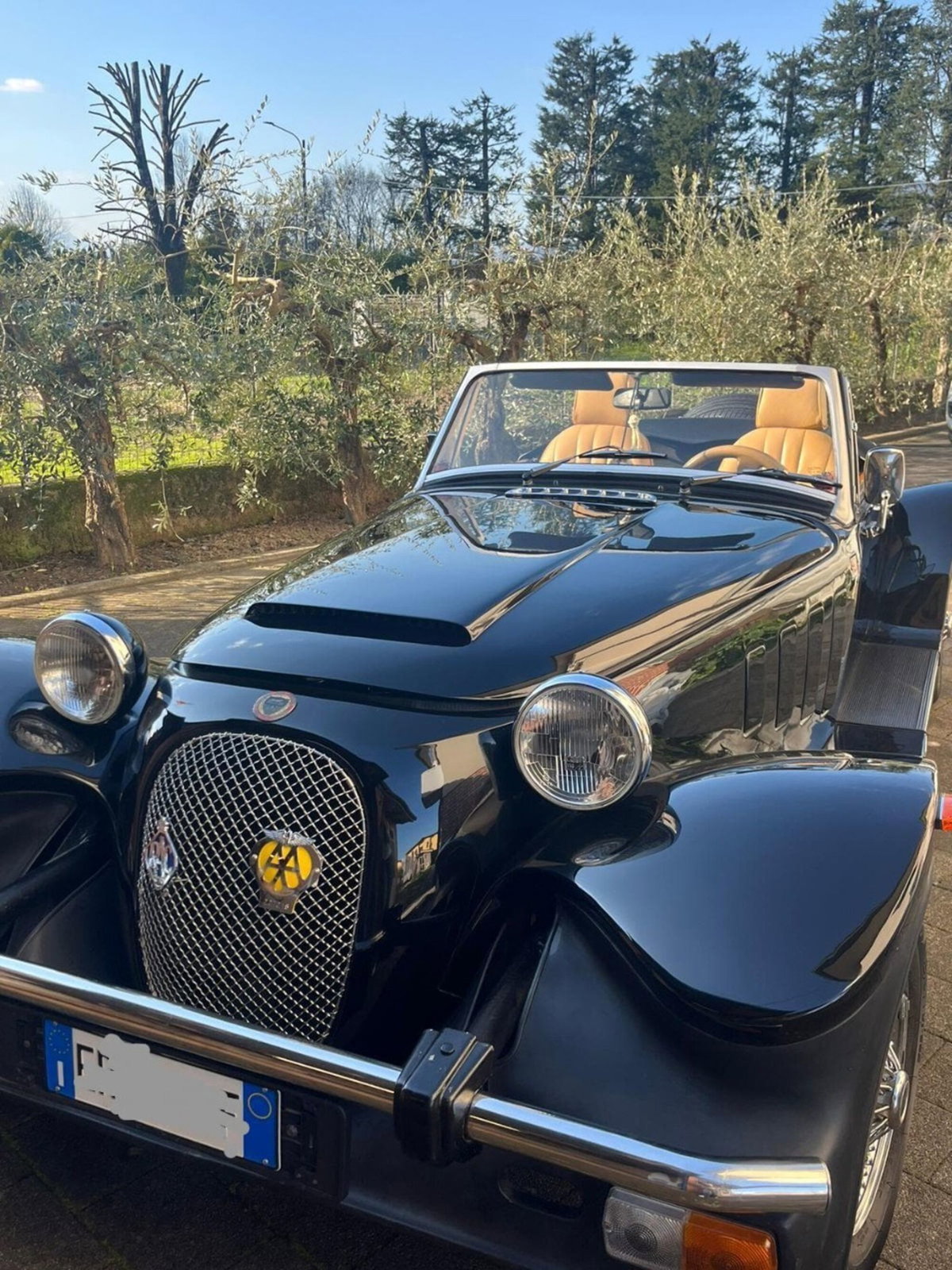 Panther Kallista 1.6