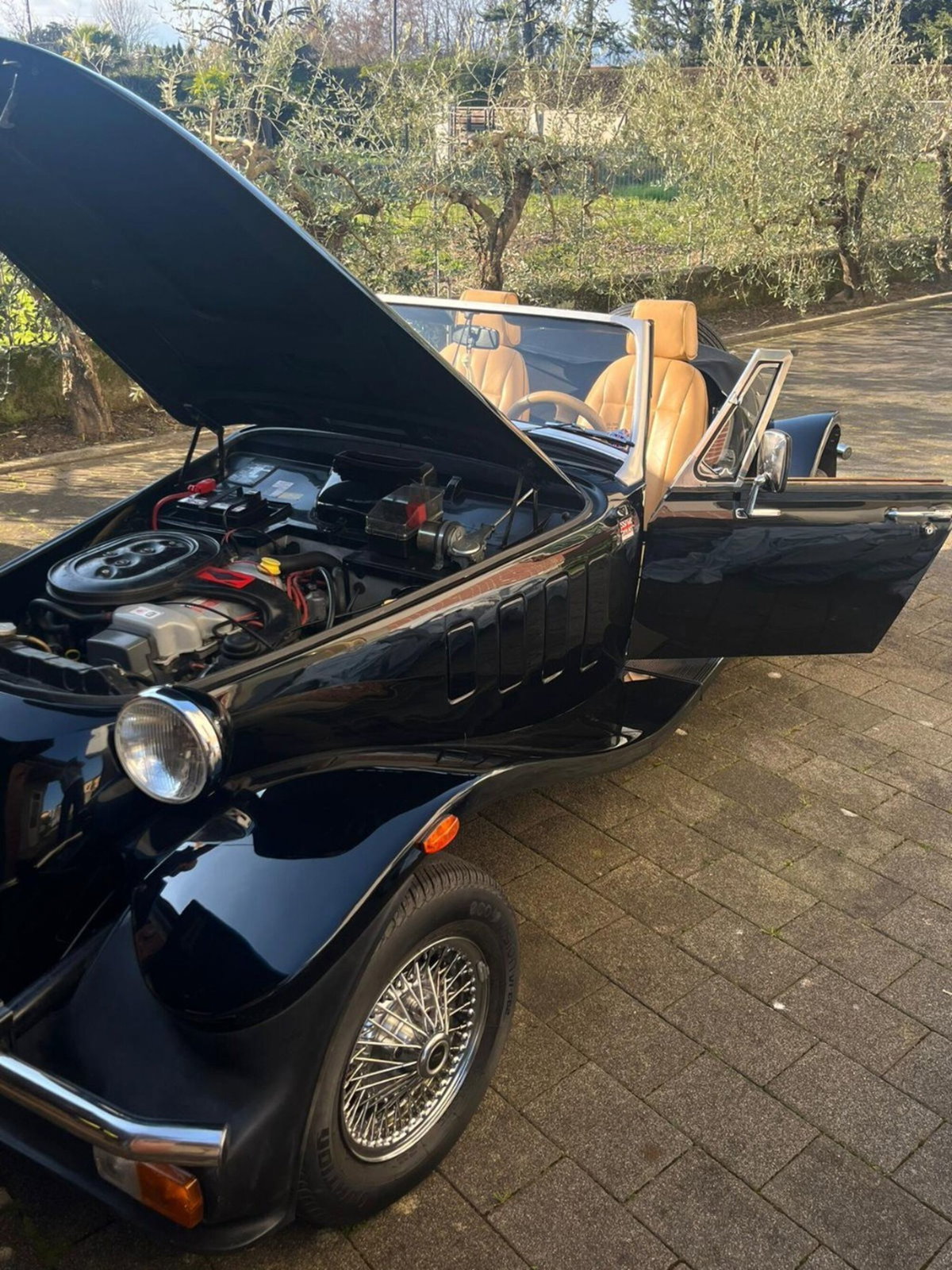 Panther Kallista 1.6 (3)