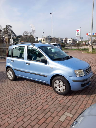 Fiat Panda 1.2 Dynamic usata