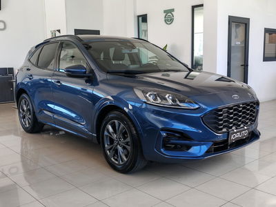 Ford Kuga 2.0 EcoBlue 120 CV aut. 2WD ST-Line X usata