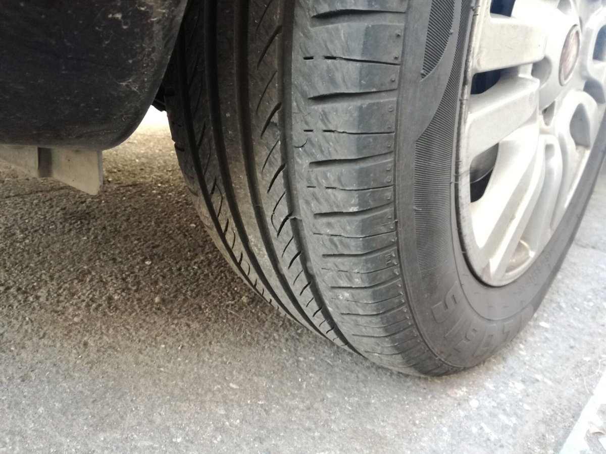 Fiat Punto 1.4 8V 5 porte Natural Power Lounge (9)