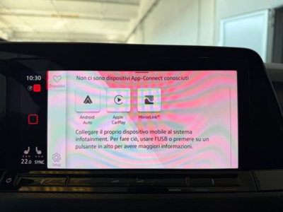 Volkswagen Golf 2.0 tsi GTI MT Ultimate 245cv (19)