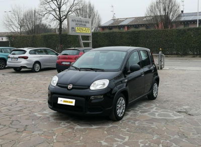 Fiat Panda 1.0 firefly hybrid s&s 70cv usata