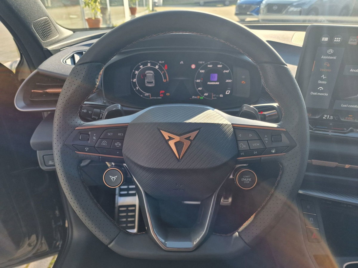 Cupra Terramar 1.5 hybrid 150cv dsg (12)
