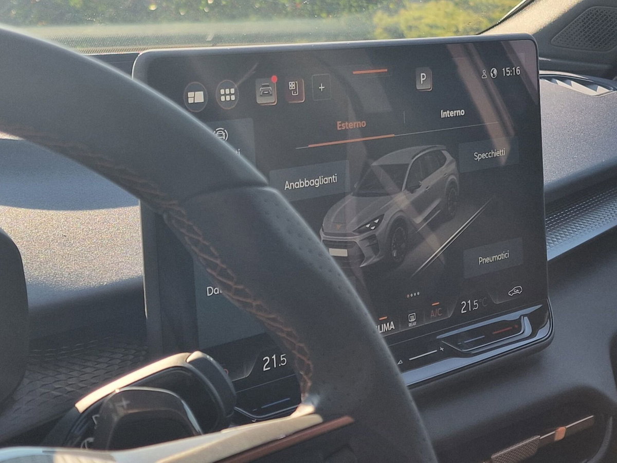 Cupra Terramar 1.5 hybrid 150cv dsg (15)