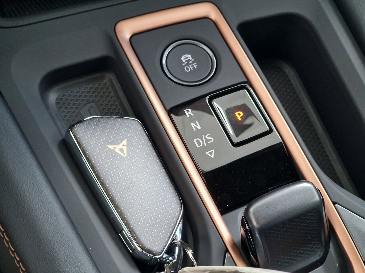Cupra Formentor Formentor 1.5 TSI (12)