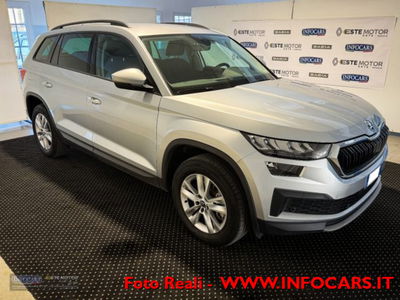 Skoda Kodiaq 2.0 TDI EVO SCR 4x4 DSG 7 posti Executive usata