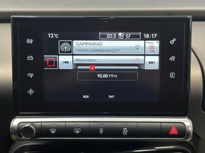 Citroen C4 Cactus BlueHDi 100 W (11)