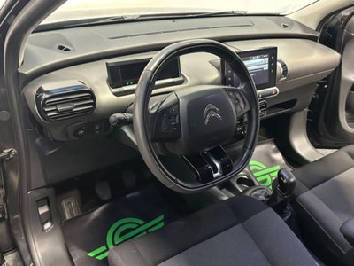 Citroen C4 Cactus BlueHDi 100 W (8)