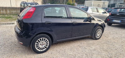 Fiat Punto 1.4 8V 5 porte Easypower Street (7)