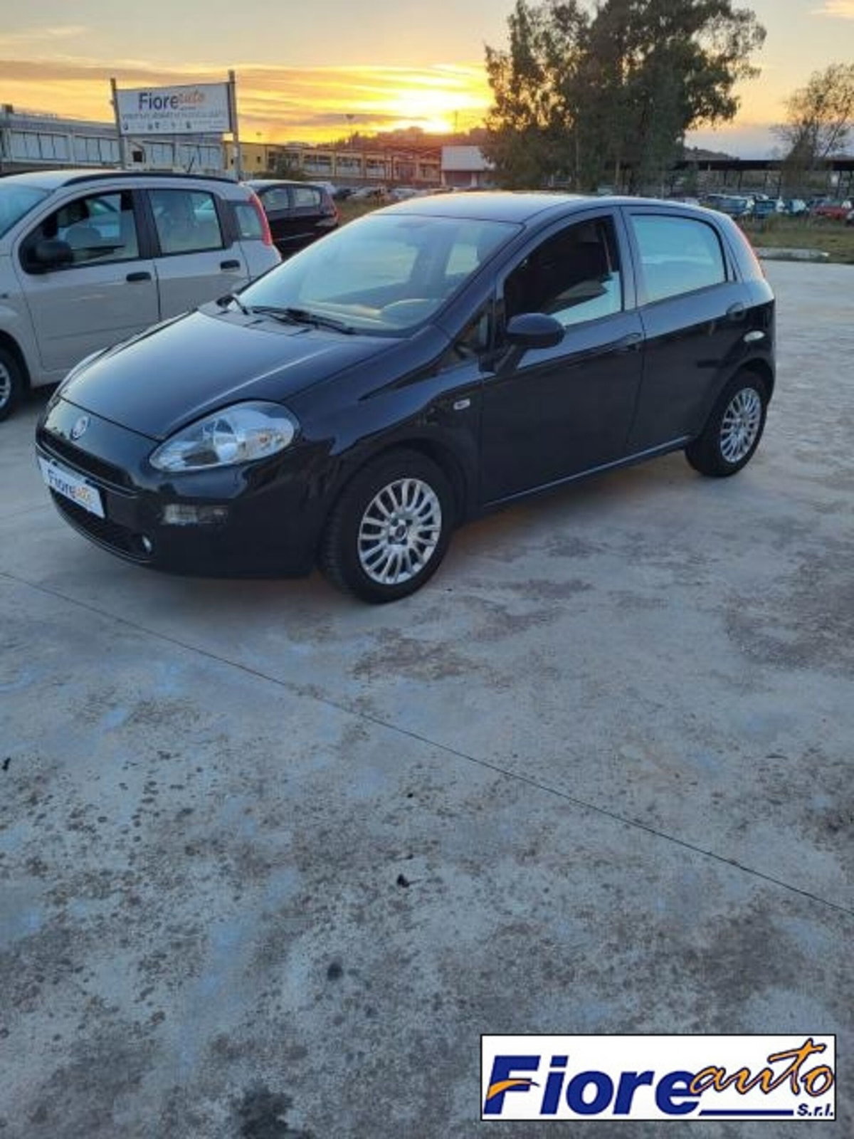 Fiat Punto 1.3 MJT II S&S 95 CV 5 porte Street (2)