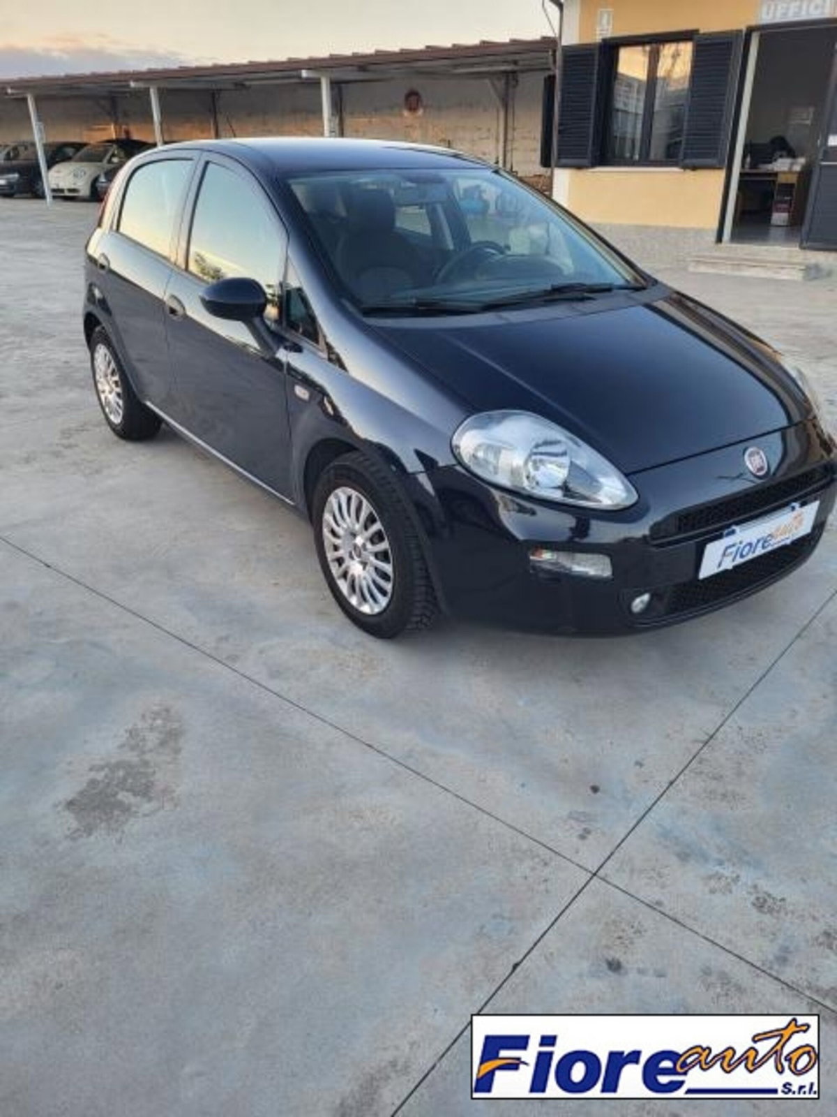 Fiat Punto 1.3 MJT II S&S 95 CV 5 porte Street (3)
