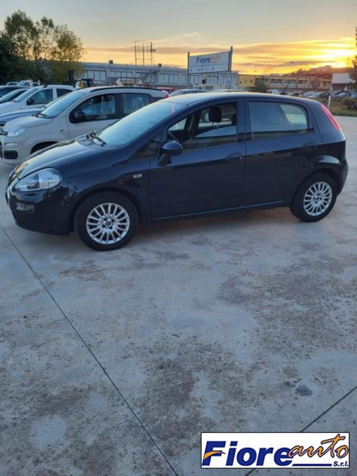 Fiat Punto 1.3 MJT II S&S 95 CV 5 porte Street (6)