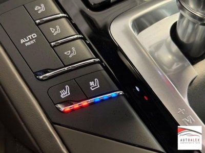 Porsche Cayenne 3.0 Diesel Platinum Edition (10)