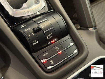 Porsche Cayenne 3.0 Diesel Platinum Edition (17)